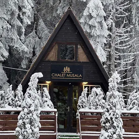 Chalet Musala By Bookvillabg *