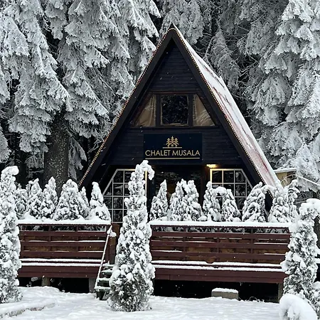 Chalet Musala By Bookvillabg Borovets