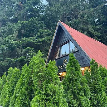 Chalé Musala By Bookvillabg *